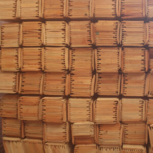 LambrÍz de Eucaliptus Clear